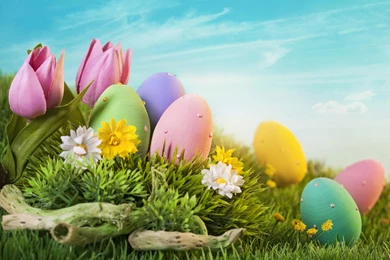 HAPPY EASTER WALLPAPER   (