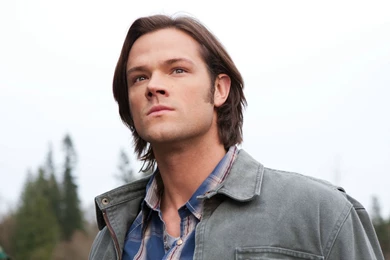Famous Jared Padalecki In Role Of Sam Winchester Wallpapers And ...