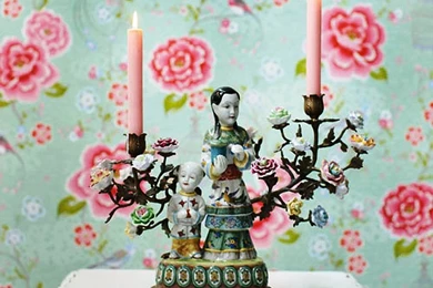 Birds Of Paradise Wallpapers By Fifty One Percent ...