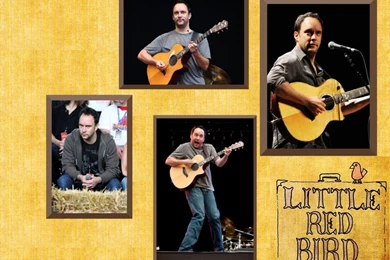 A Few Photos   Dave Matthews Band Wallpapers (13876452)   Fanpop