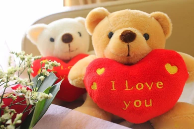 Download Amazing Cute Teddy Bear Love Wallpapers