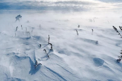 WINTER STORM WALLPAPER (