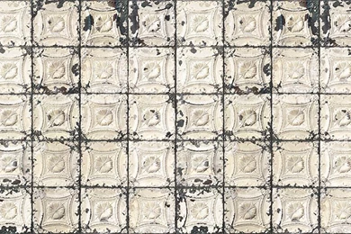 Floral Wallpapers / Paper / Rustic / Non woven   TIN 01 By Merci   NLXL