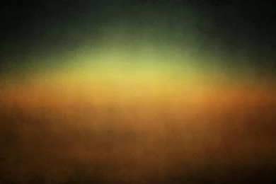 Home ≫ Bear Wilderness Rustic Area Rugs