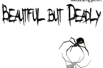 Deadly Wallpapers   181067