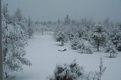 Snow Storm Wallpapers 2015   Grasscloth Wallpapers