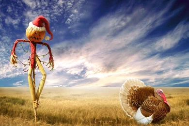 Free Thanksgiving Wallpapers HD 2016 Download