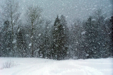 Winter Storm Montana   Bing Images