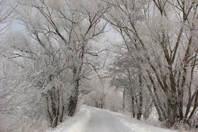 Winter Storm Preparedness — That Bald Chick®