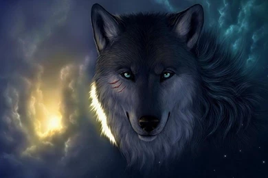Wolf Pictures In The Wild   HD Wallpapers Lovely