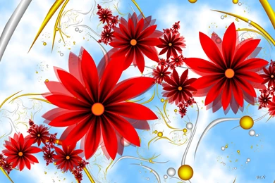 Gazania Red Flowers Wallpapers Download Of Beautiful Flower