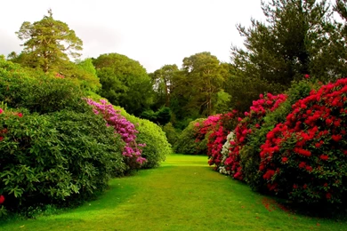 Flower Garden: Flower Garden Wallpapers Hd Wallpapers, 32 Photos ...