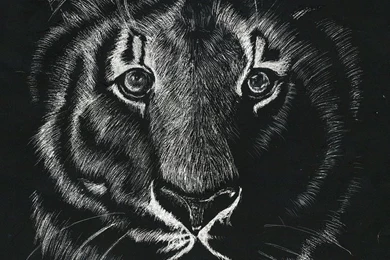 King Without A Crown: Finished By Aramelia On DeviantArt