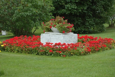 Moril flowers Garden Computer Wallpapers, Desktop Backgrounds ...