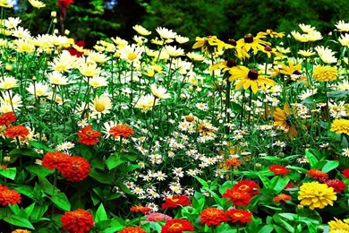 2880x1080 Wallpapers: Flow Water Park Pond Stream CSH Wallpapers ...