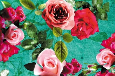 Iphone Backgrounds Tumblr Floral