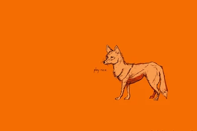 19 Adult Swim HD Wallpapers