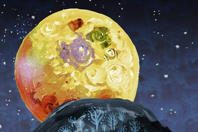 Art Storm Fine Art  Adult Swim Art