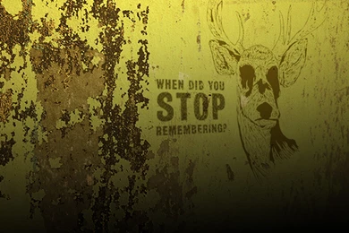 Adult Swim Bumps: Insomnia Edition