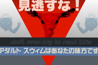 Adult Swim Wallpapers   (