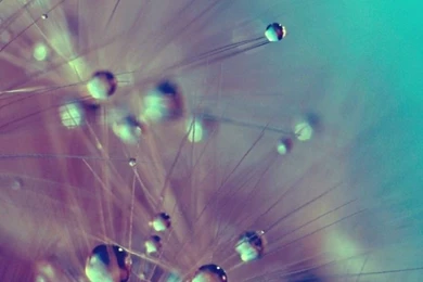 Lock Screen & Wallpapers On Pinterest