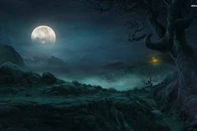 3032) Dark Forest Moon Wallpapers Design   WalOps.com