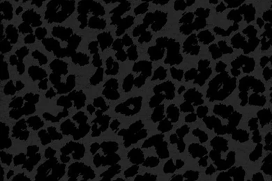 Animal Print   Image