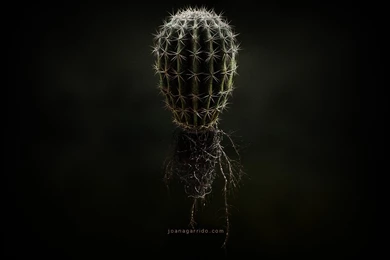 Fantasy Art Design Wallpapers: Modern 3d Art Dark Fantasy Artist