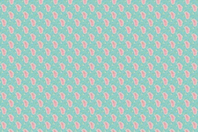 Paisley Flowers Desktop Wallpapers