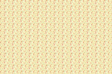 Paisley Desktop Wallpapers