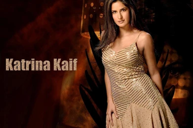 Hot Look Of Bollywood Hindi Movie Actress Katrina Kaif Picture ...