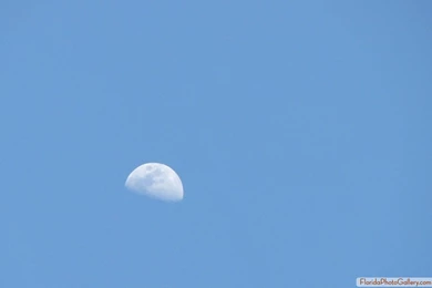 Wallpapers « Florida Photos