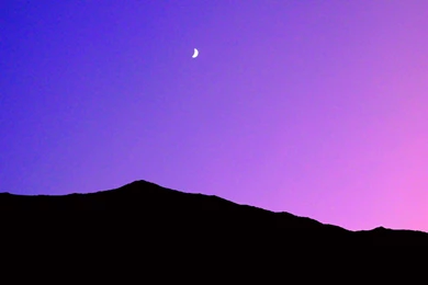 Stock Pictures: Free Desktop Wallpapers Or Backgrounds