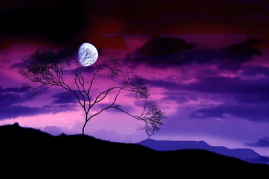 Moon Scenery Pics 3d Hd Pictures.