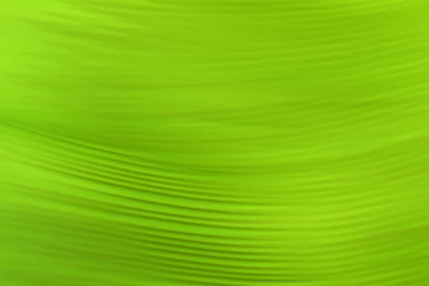 Green Backgrounds Wallpapers And Images Wallpapers, Pictures, Photos