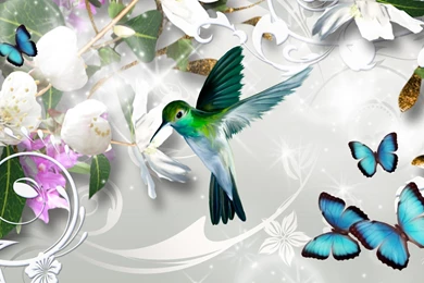 Free Hummingbird Wallpapers   Wallpapers Cave