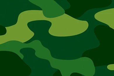 Regular Camo iPhone 5 Wallpapers (640x1136)