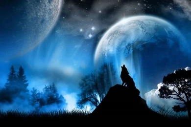 Wallpapers Rosa De Sar N Papel Parede Noite E Lobo 1024x768 ...