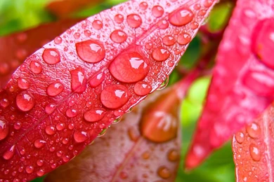 Most Beautiful Wallpapers H9S   Savewallpaper.com