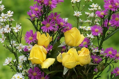 Most Beautiful Wallpapers Of Rose In The World 7