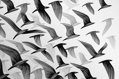 Black And White Vintage Wallpapers Mobile