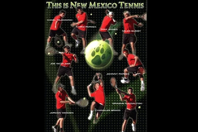 Unm Lobo Wallpapers   175692