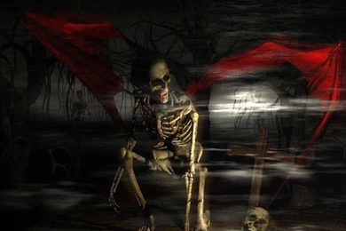 FREAKY SKELTON WALLPAPER (