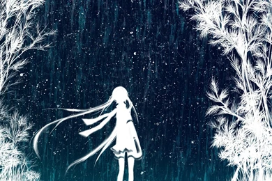 Freaky Forest 1218261 Wallpapers (