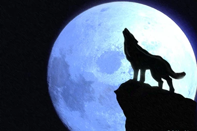 Jestingstock.com Wolf Howling At The Red Moon Wallpapers
