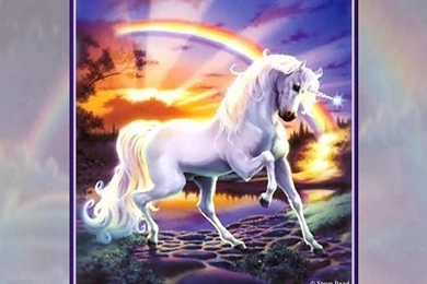 The Unicorn S Rainbow   (
