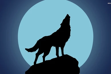 Wolf Moon Wallpapers   Full HD Wallpapers Search   ClipArt Best ...