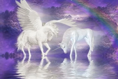 Unicorn + Pegasus = Amazingness
