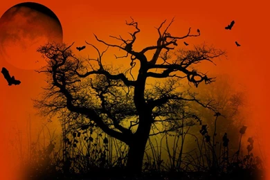 Free Moving Live Hd Wallpapers 3D