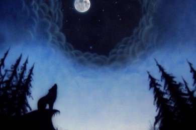 WOLF MOON WALLPAPER   (